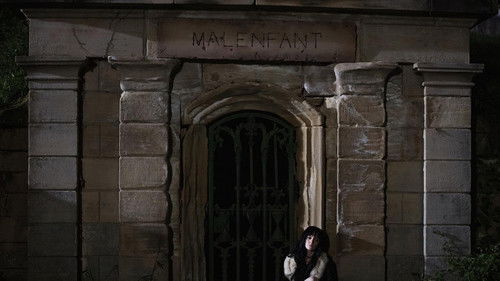 October Roses Bild 4