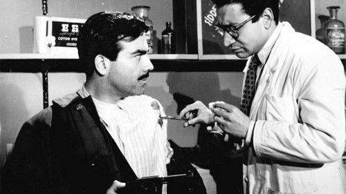 Rıfat Diye Biri Bild 1