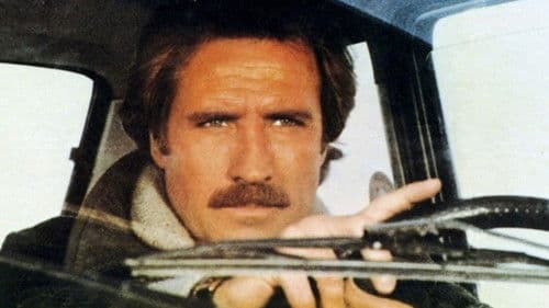 Von Corleone nach Brooklyn Bild 4