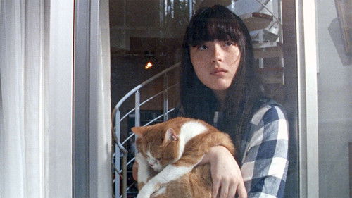 猫、かえる Bild 2