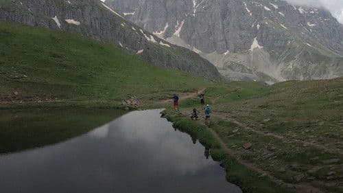 Chasing Dragons Bild 1