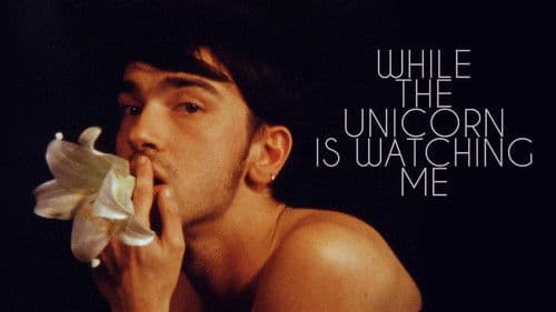 While the Unicorn Is Watching Me Bild 4