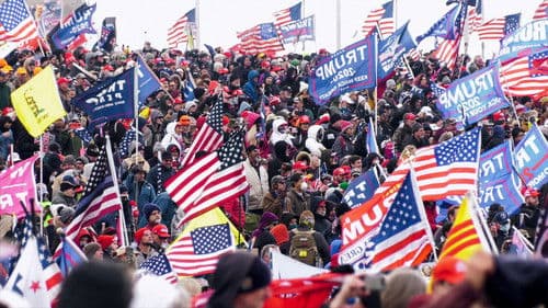 Sturm auf das Kapitol Bild 8