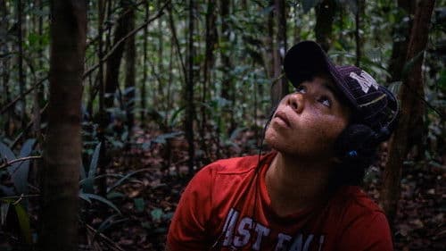 Curupira, Bicho do Mato Bild 4