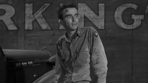 Die jungen Löwen Bild 4