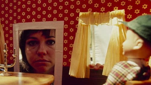 Maybe I'll Come Home in the Spring Bild 6