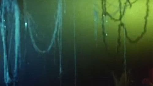 Солнечное зёрнышко Bild 4