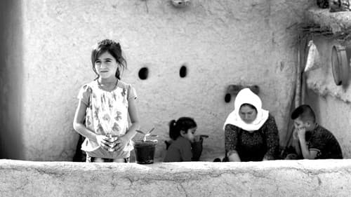 Nameyên ji Şengal Bild 3