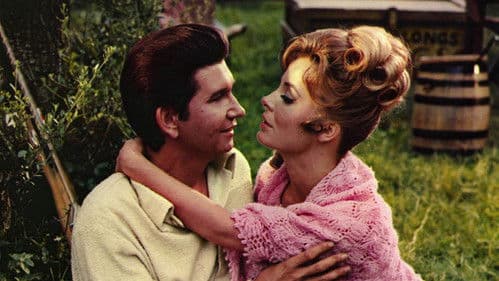 The Fastest Guitar Alive Bild 2