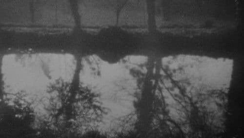 Vampyr - Der Traum des Allan Grey Bild 3