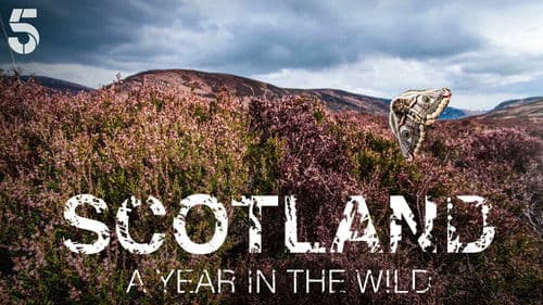 Scotland: A Year In The Wild Bild 2