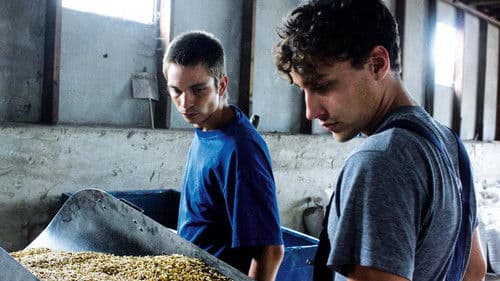 Stadt Land Fluss Bild 1