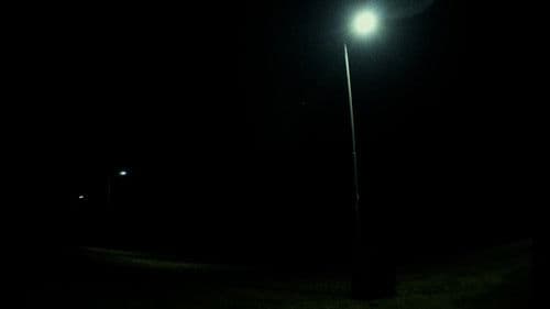 Bailamos para no estar muertos Bild 1