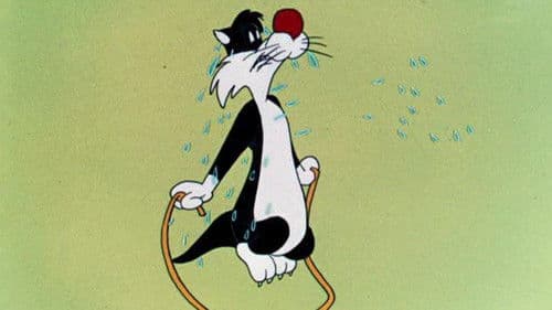 Hop, Look and Listen Bild 1