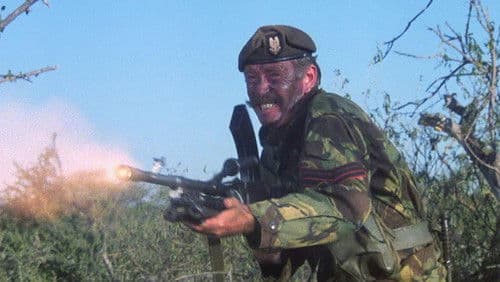 Die Wildgänse kommen Bild 4