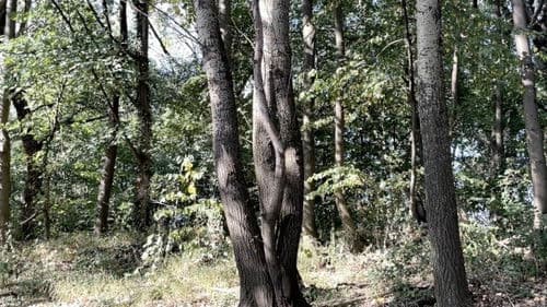 Statusbericht Bild 3