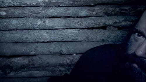 Survive the Hollow Shoals Bild 1