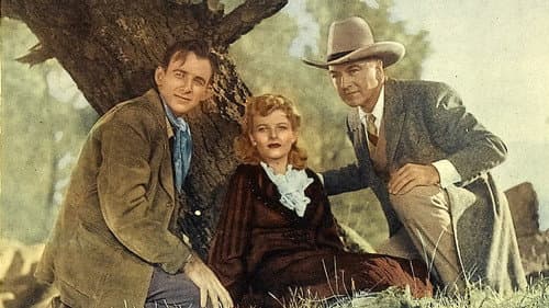 Forty Thieves Bild 1