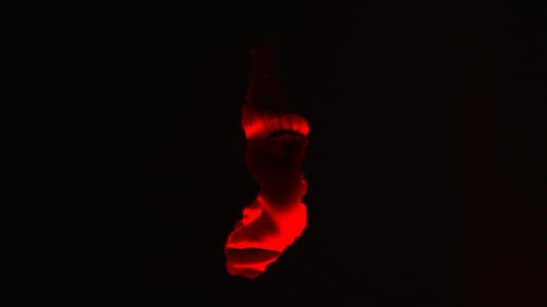 Invasión del Planeta X-tasis Bild 7