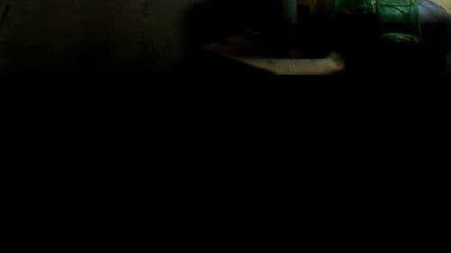 Juventude Em Marcha Bild 3