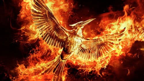 Die Tribute von Panem - Mockingjay Teil 2 Bild 3