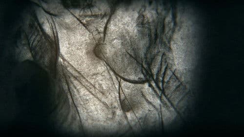 Camera obscura Bild 3