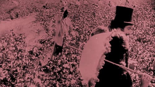 Birth of a Nation Bild 1