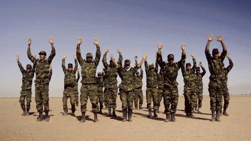 Battalion to my beat Bild 3