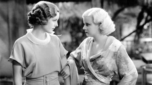 Dschungel im Sturm Bild 5