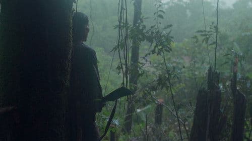 Century of Smoke Bild 4