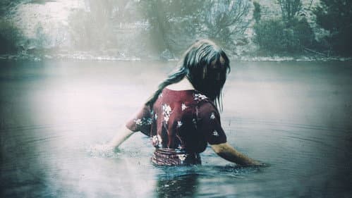 Water Horse Bild 3