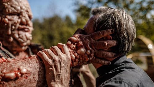 Nobody Sleeps in the Woods Tonight Bild 6