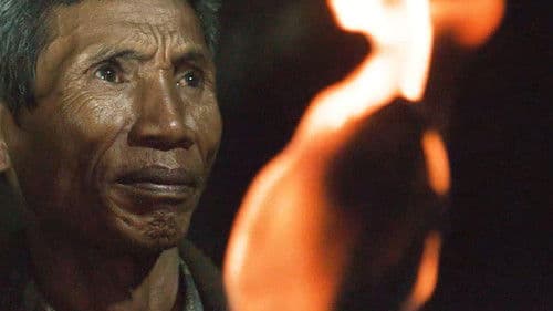 This Little Land of Mines Bild 3