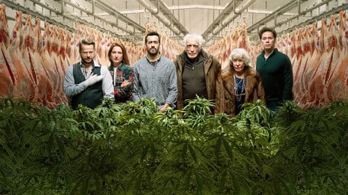 Joint Venture Bild 5