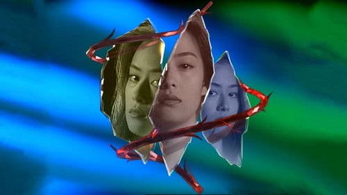 もう涙は見せない Bild 1