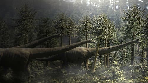 Top 10 Biggest Beasts Ever Bild 3