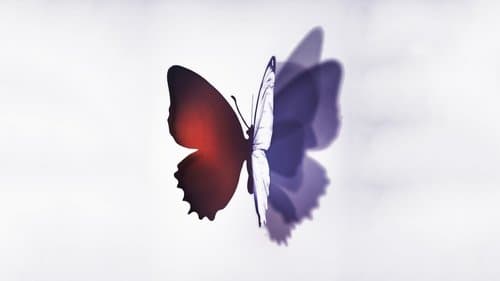 Complete Unknown Bild 1