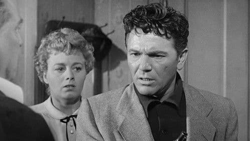 Steckbrief 7-73 Bild 7