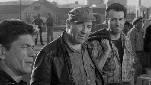 Die Spur führt zum Hafen Bild 8