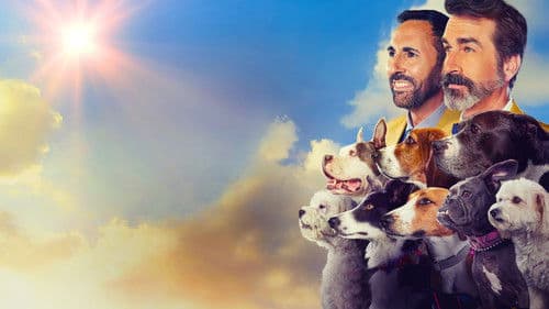 2022 American Rescue Dog Show Bild 4