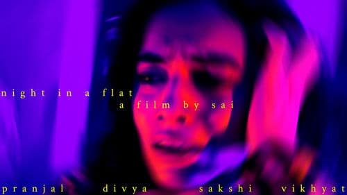 NIGHT IN A FLAT Bild 5