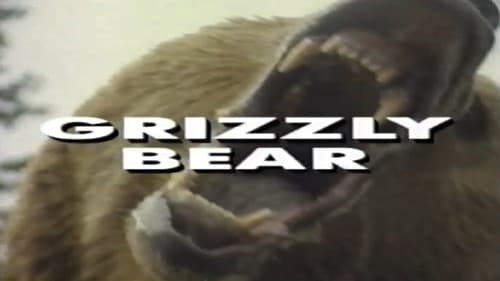 Predators of the Wild: Grizzly Bear Bild 1