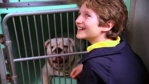 The Dogfather Bild 2