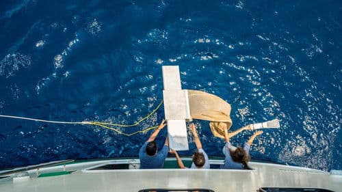 Plasticósfera Bild 2