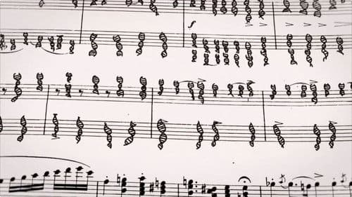 Epigenetik - Sind wir Gene oder Umwelt? Bild 1