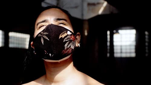 Welt auf Abstand - Reise durch ein besonderes Jahr Bild 3