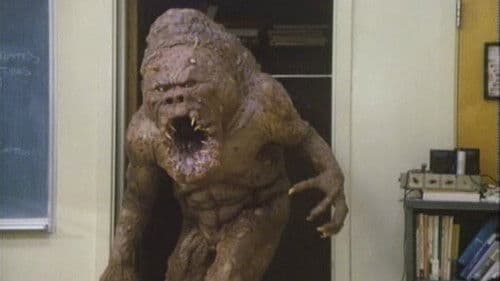 Überfall im Wandschrank Bild 2