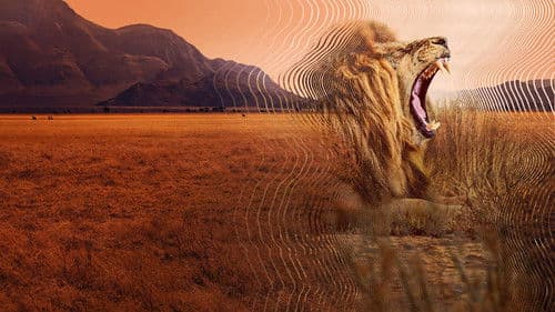 Die geheime Welt der Klänge mit David Attenborough Bild 3