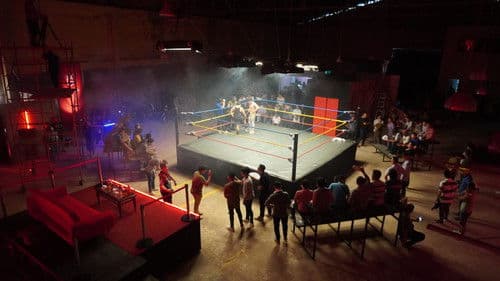 Fuchsia Libre Bild 1