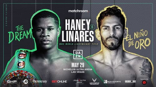Devin Haney vs. Jorge Linares Bild 1